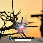 By His Stripes: A Daily Devotional (Isaiah 53:5)