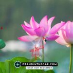 God Works All Things: A Daily Devotional (Romans 8:28)