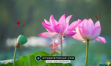 God Works All Things: A Daily Devotional (Romans 8:28)