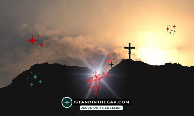 Seek First His Kingdom: A Daily Devotional (Matthew 6:33)