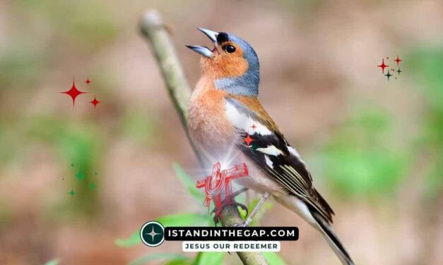 Sing a New Song: A Daily Devotional (Psalm 96:1)