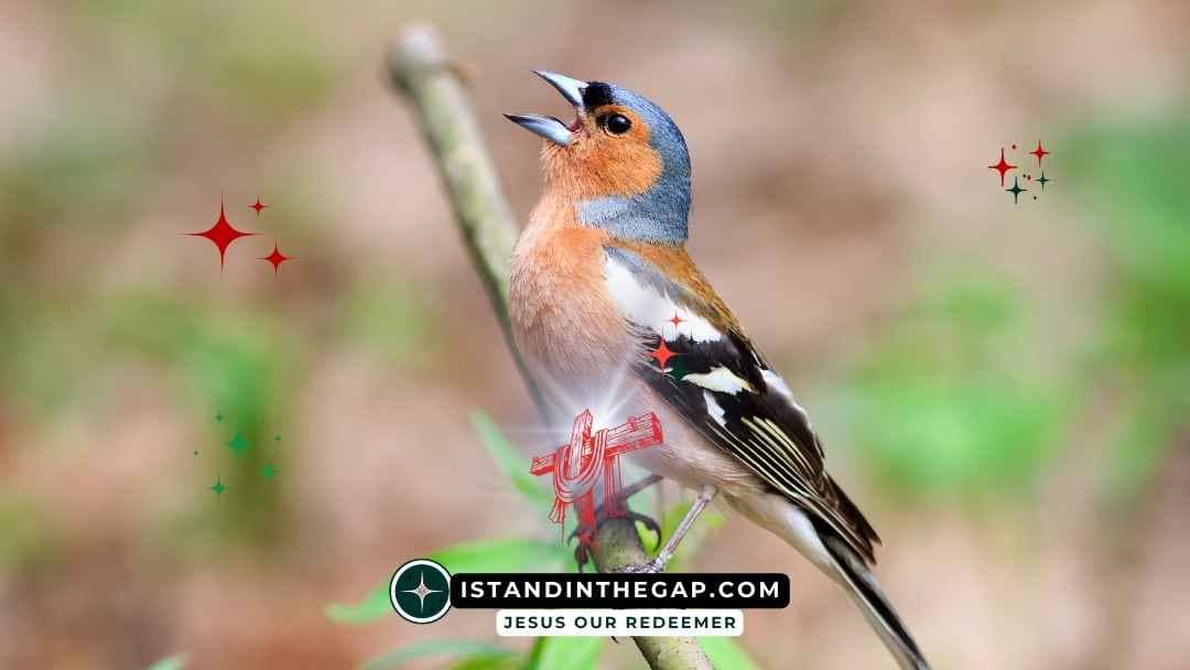 Sing a New Song: A Daily Devotional (Psalm 96:1)