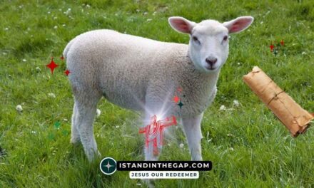 The Scroll and the Lamb: A Daily Devotional (Revelation 5:9)