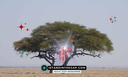 We Are More Than Conquerors: A Daily Devotional (Romans 8:37)