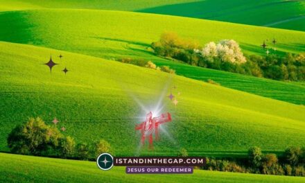 Alive to God: A Daily Devotional (Romans 6:11)