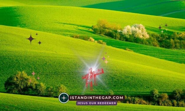 Alive to God: A Daily Devotional (Romans 6:11)