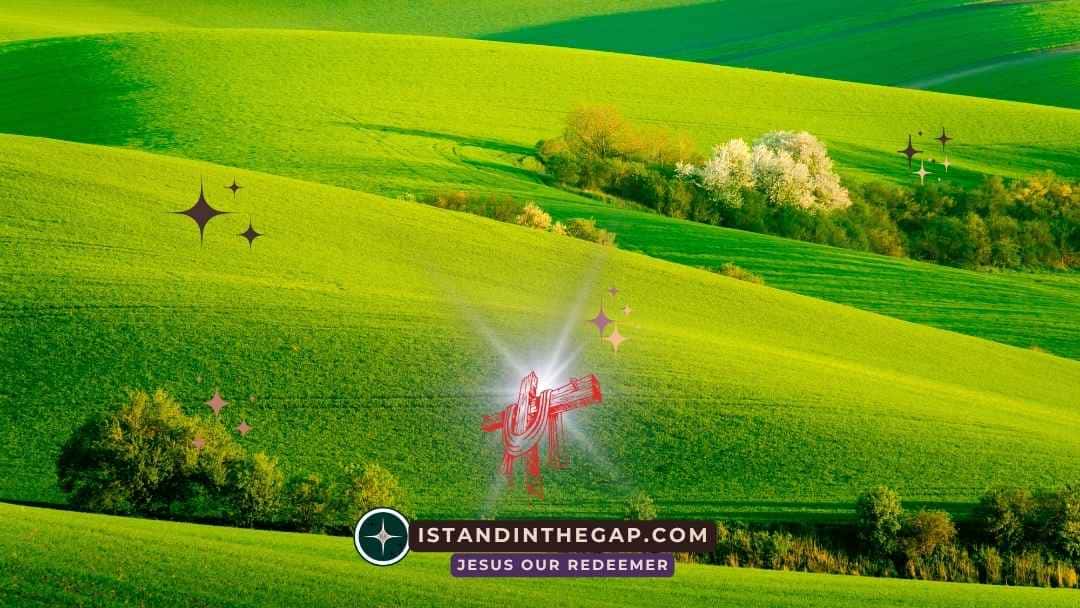 Alive to God: A Daily Devotional (Romans 6:11)