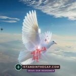 Freely Justified: A Daily Devotional (Romans 3:24)