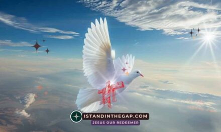 Freely Justified: A Daily Devotional (Romans 3:24)