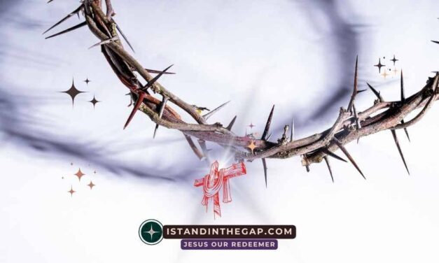 Just For The Unjust: A Daily Devotional (1 Peter 3:18)