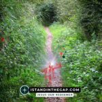 The Narrow Path: A Daily Devotional (Matthew 7:14)