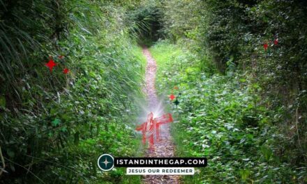 The Narrow Path: A Daily Devotional (Matthew 7:14)