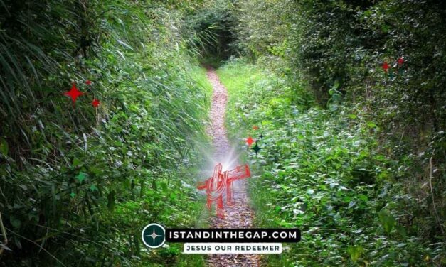 The Narrow Path: A Daily Devotional (Matthew 7:14)