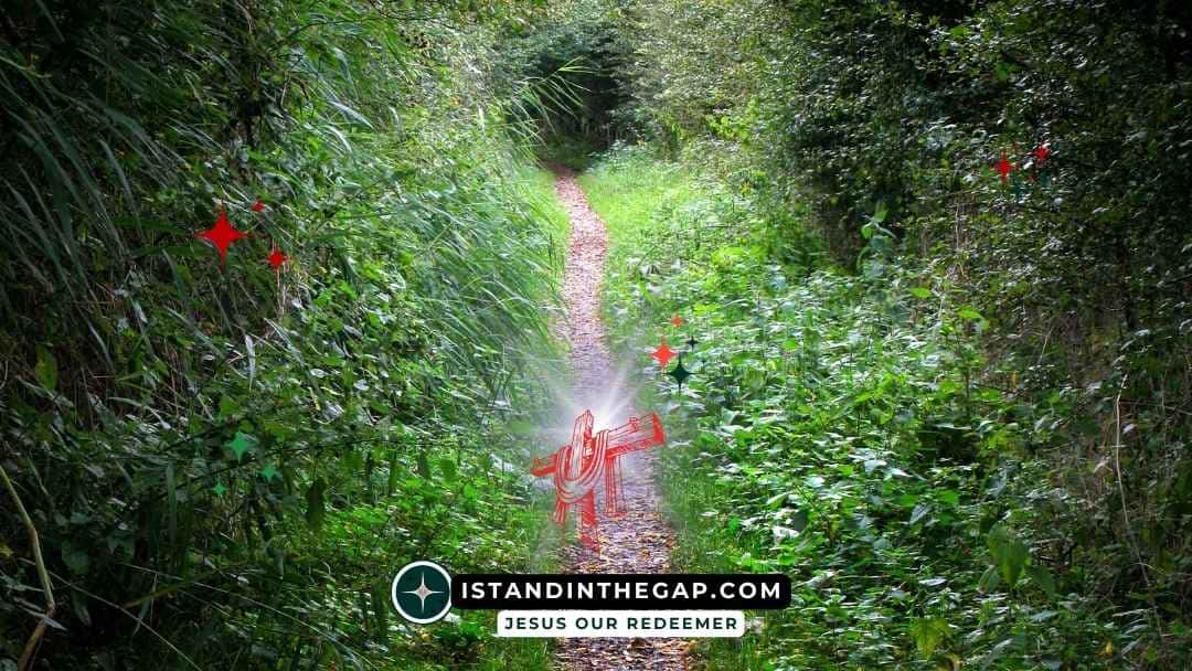 The Narrow Path: A Daily Devotional (Matthew 7:14)