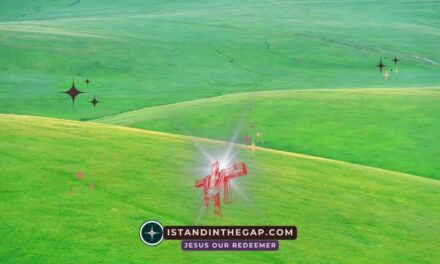 Without Excuse: A Daily Devotional (Romans 2:1)