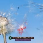 A Scorching Wind: A Daily Devotional (Jonah 4:8)