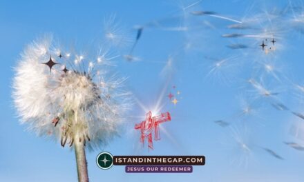 A Scorching Wind: A Daily Devotional (Jonah 4:8)