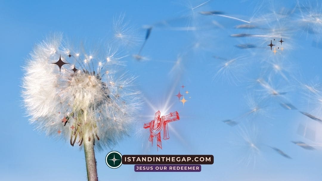 A Scorching Wind: A Daily Devotional (Jonah 4:8)