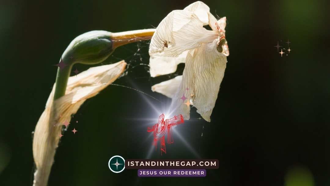 Awake Out Of Sleep: A Daily Devotional (Romans 13:11)