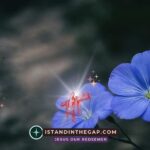 Betrothed Forever: A Daily Devotional (Hosea 2:19-20)