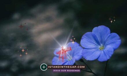 Betrothed Forever: A Daily Devotional (Hosea 2:19-20)