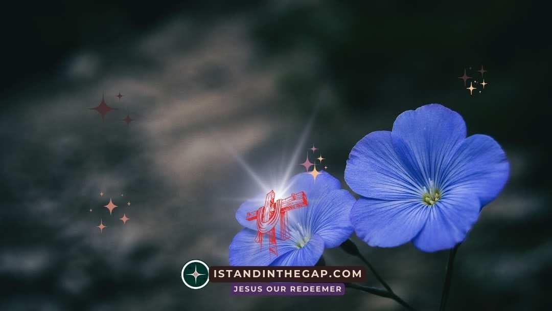 Betrothed Forever: A Daily Devotional (Hosea 2:19-20)