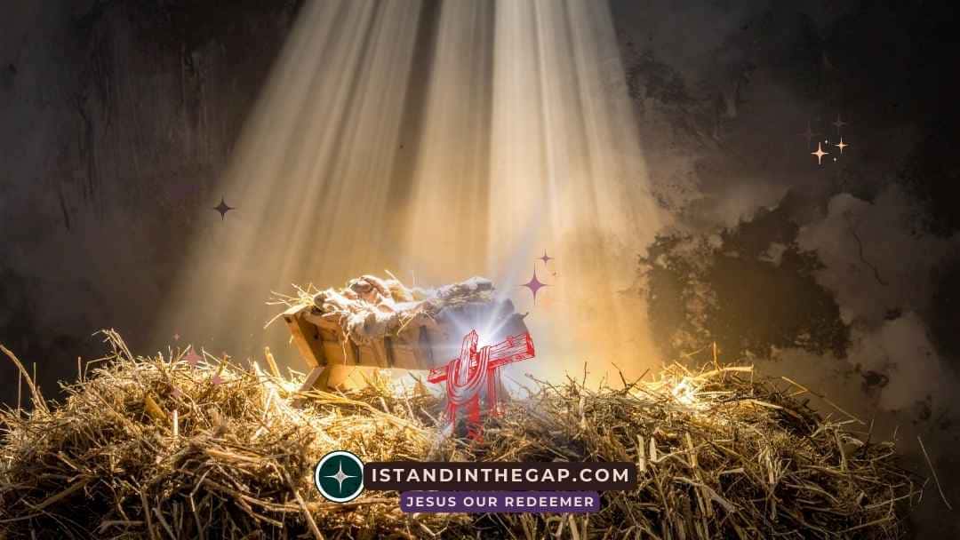 Born Savior: A Daily Devotional (Luke 2:11)