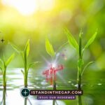 Building Your Faith: A Daily Devotional (Jude 1:20)