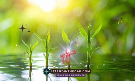 Building Your Faith: A Daily Devotional (Jude 1:20)