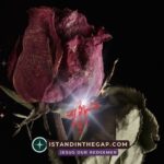 Die Welt Vergeht: Eine tägliche Andacht (1. Johannes 2:17)