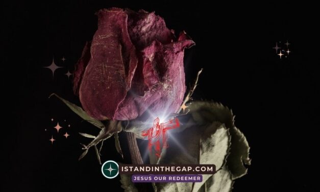 Die Welt Vergeht: Eine t&auml;gliche Andacht (1. Johannes 2:17)