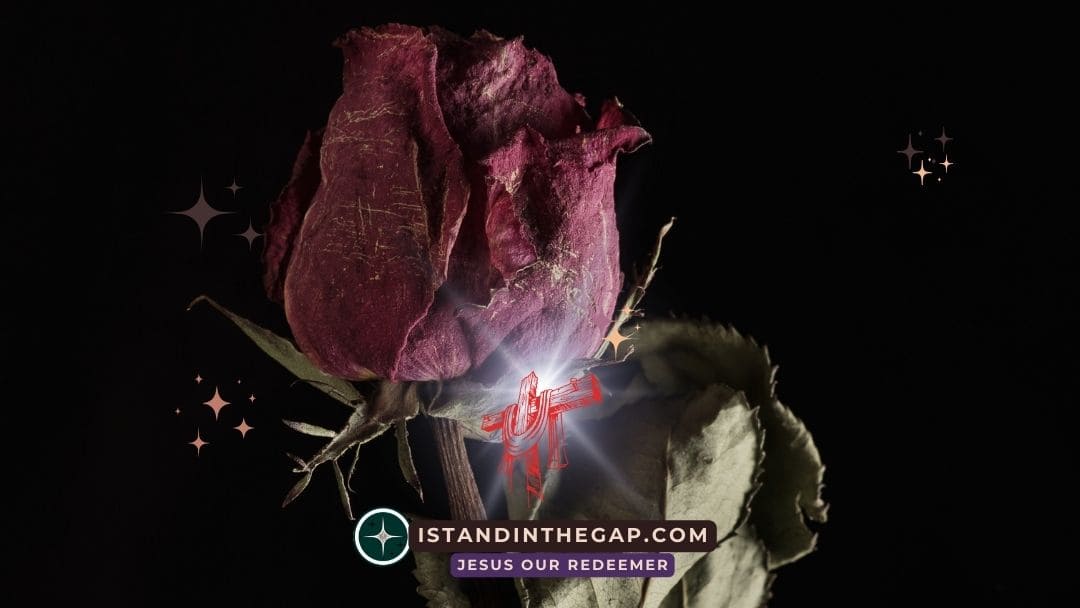 Die Welt Vergeht: Eine tägliche Andacht (1. Johannes 2:17)