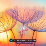 Friedensbund: Eine t&auml;gliche Andacht (Hesekiel 34,25)