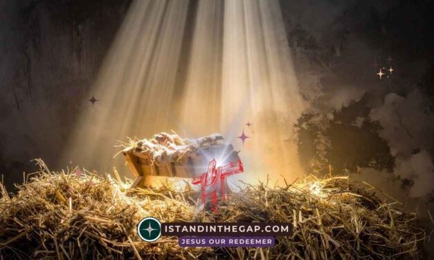 Geborener Retter: Eine T&auml;gliche Andacht (Lukas 2:11)