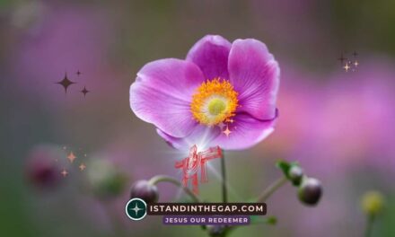 God Has Broken Through: A Daily Devotional (2 Samuel 5:20)