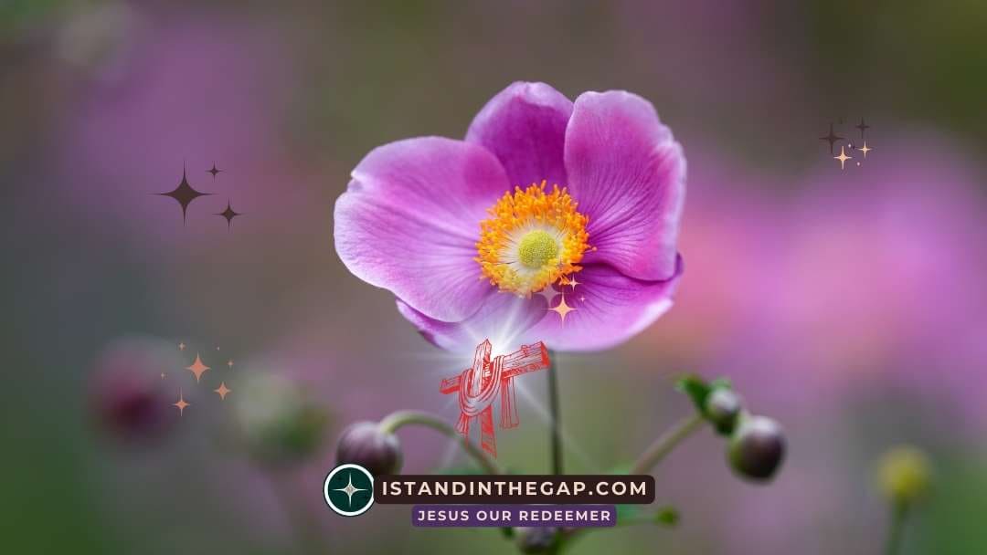 God Has Broken Through: A Daily Devotional (2 Samuel 5:20)