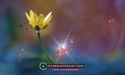 God Values Compassion: A Daily Devotional (Amos 1:11)