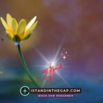 Gott schätzt Mitgefühl: Eine tägliche Andacht (Amos 1:11)