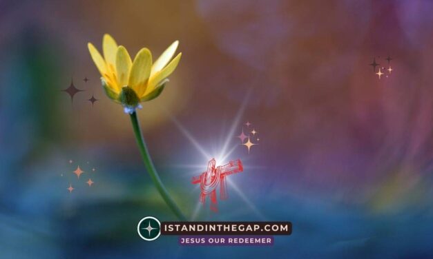 Gott sch&auml;tzt Mitgef&uuml;hl: Eine t&auml;gliche Andacht (Amos 1:11)