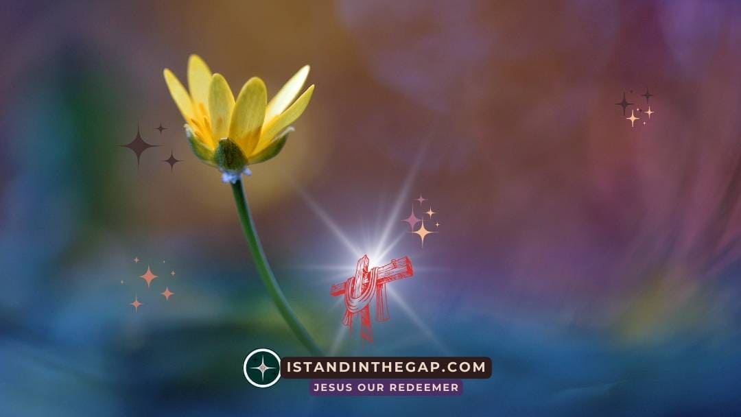 Gott schätzt Mitgefühl: Eine tägliche Andacht (Amos 1:11)