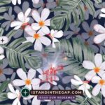 Your Inner Beauty Matters: A Daily Devotional (1 Peter 3:3-4)