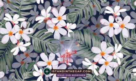 Innere Schönheit zählt: Eine tägliche Andacht (1. Petrus 3:3-4)