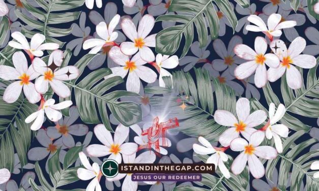 Innere Sch&ouml;nheit z&auml;hlt: Eine t&auml;gliche Andacht (1. Petrus 3:3-4)