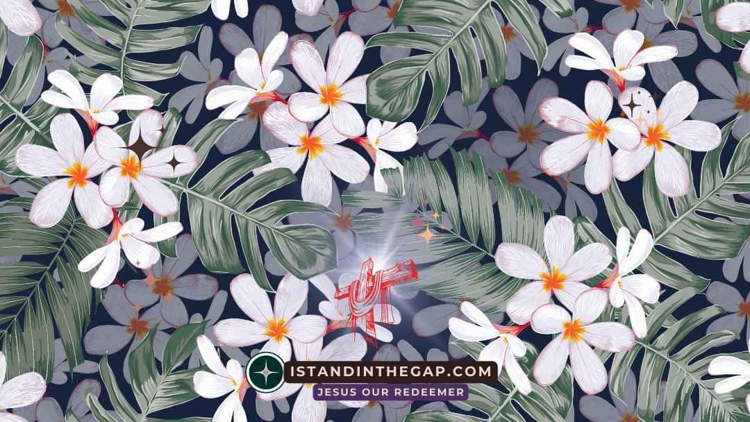 Innere Schönheit zählt: Eine tägliche Andacht (1. Petrus 3:3-4)