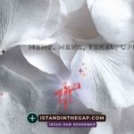 Kurze Gnade: Eine Tägliche Andacht (Esra 9,8)