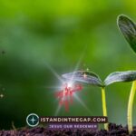 Planted by God: A Daily Devotional (Genesis 2:8)