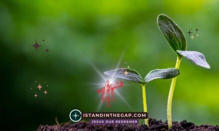 Planted by God: A Daily Devotional (Genesis 2:8)