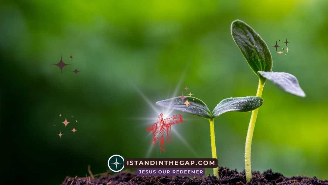 Planted by God: A Daily Devotional (Genesis 2:8)