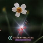 Rejoice in the Lord: A Daily Devotional (Philippians 4:4)