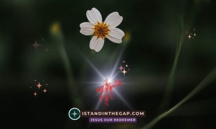 Rejoice in the Lord: A Daily Devotional (Philippians 4:4)